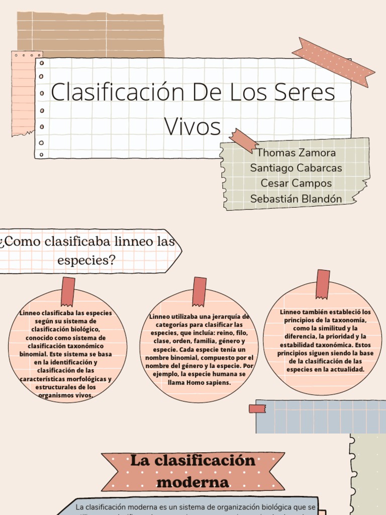 Presentacion para Proyecto Moderna Marron PDF Taxonomía (biología