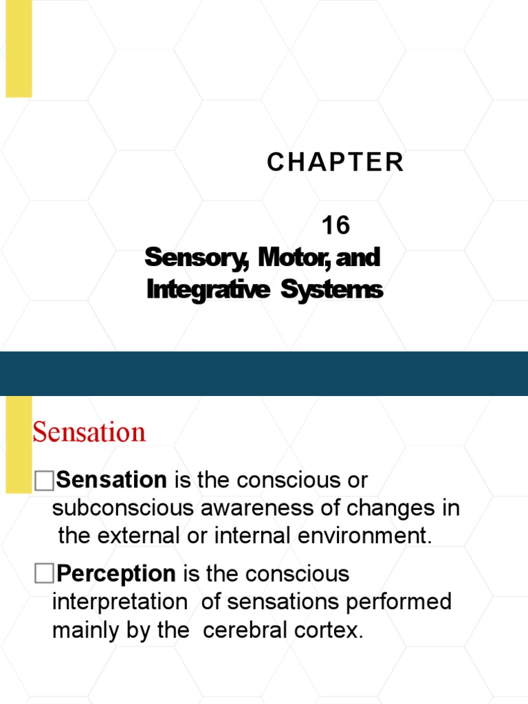 Maranatha University Sensory Motor and Integrative Systems | PDF ...
