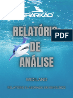 Relatório - Widiland