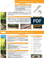 Fiche-Projet Apiculture Maroc