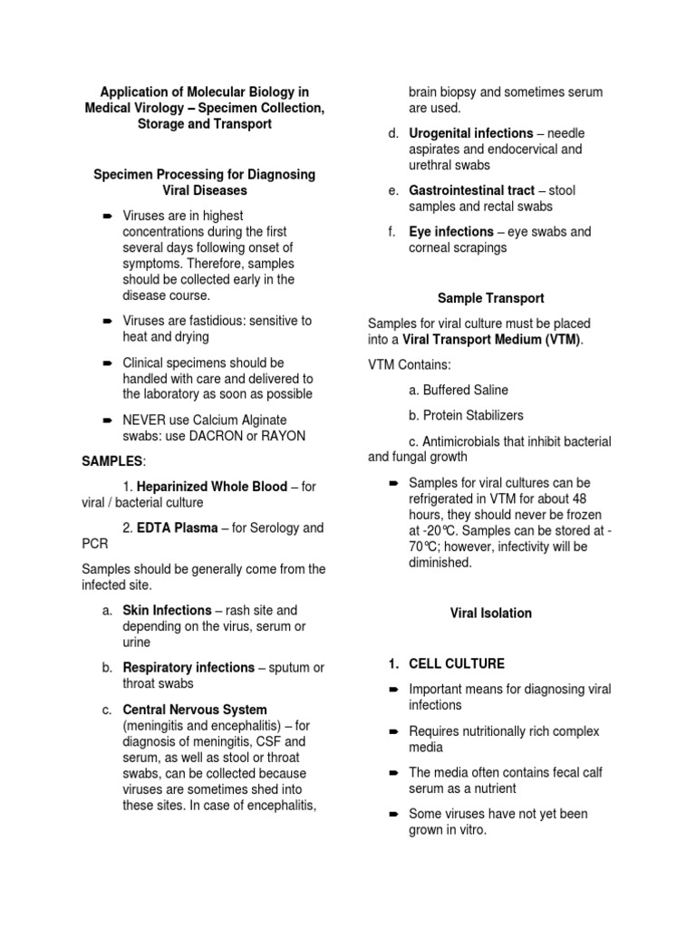 Molecular Biology Lab Finals PDF Infection Cell Culture