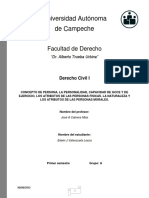 Derecho Civil I: Conceptos básicos de persona, personalidad y capacidad