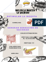 Poster hormonas en la ingesta y la saciedad