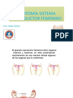 Anatomía Sistema Reproductor Femenino