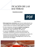 Clasificación de Las Bacterias