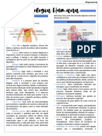 Fisiologia Humana