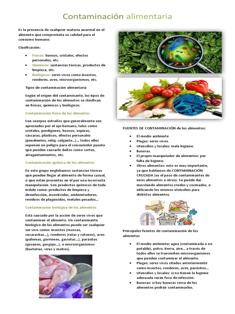 Tipos y fuentes de contaminación alimentaria | PDF | Alimentos ...