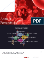 Anemia Ferropenica