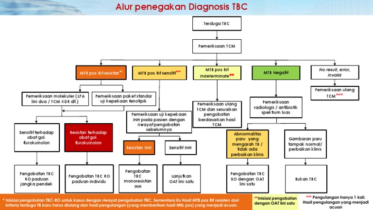 Alur Diagnosis Tbc Untuk Di Cetak Dan Ditempel Didinding Atau Meja Pdf