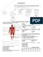 Taller de Musculos