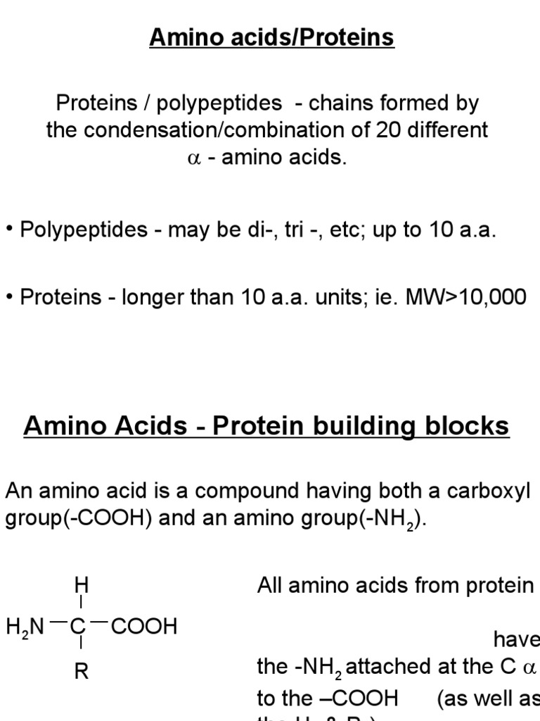 Amino Acids & Proteins Intro PDF Amino Acid Hydrogen Bond