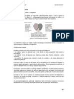 Texto para Infografia