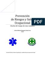 Prevenc Riesgos Charlas 5min