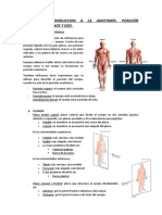 BLOQUE 1 Embriologia