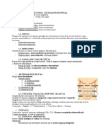 BLOQUE 3 Cavidad Abdominal 1