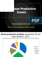 Dry Bean Production Issues in North Dakota: Weeds, Tillage Systems, and Disease Threats