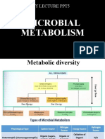 Microbial Metabolism Lecture PPT5