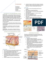 MC1 REVIEWER (Integumentary System)