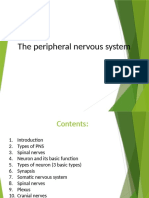 Peripheral Nerve Systemppt