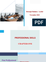 SBL Chapter 1 Professional Skllsi