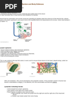 Chapter 12 - The Lymphatic System and Body Defenses