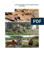 Dokumentasi Pengadaan Sapi Dana P2D Desa Simpang Nibung Tahun 2021