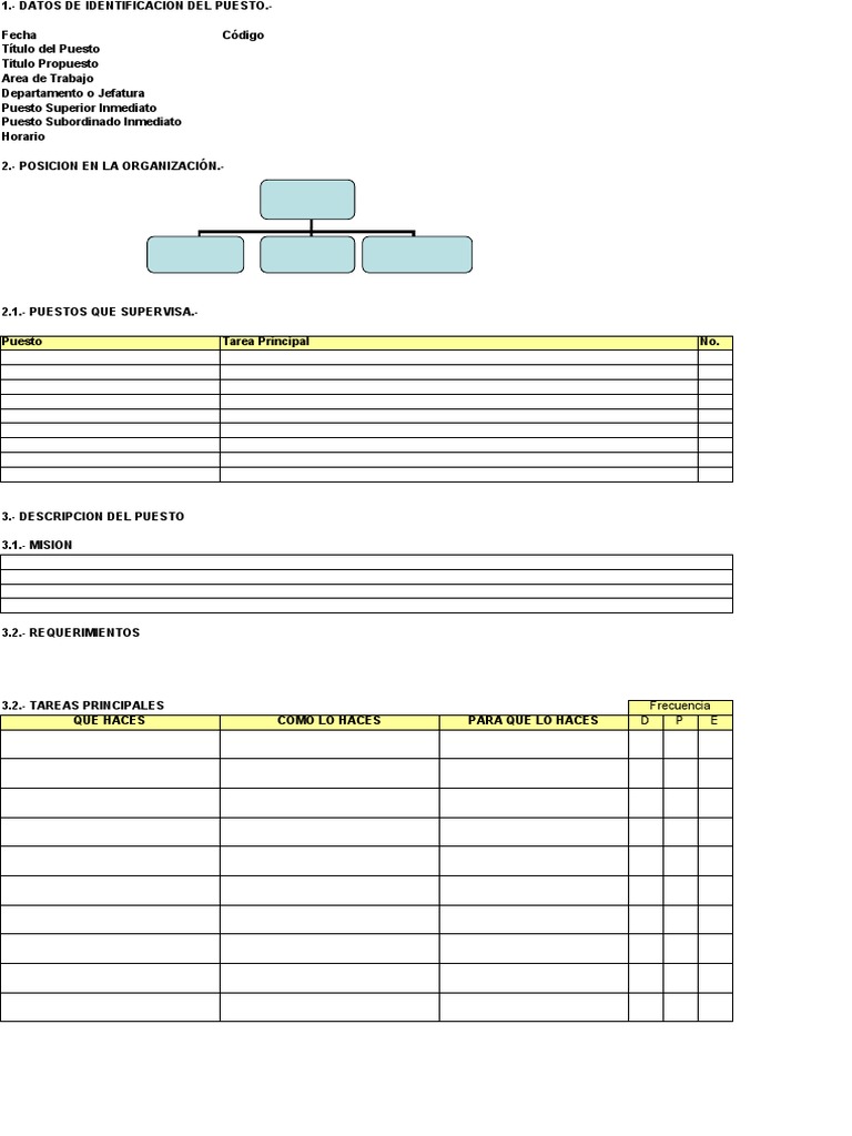 Formato de Descripción de Puestos | PDF