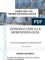 Introduccion A La Morfofisiologia