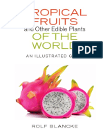 Tropical Fruits: of The World