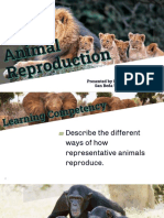 Animal Reprodution