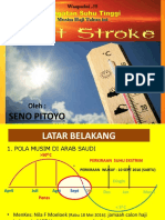 Heat Stroke PDF