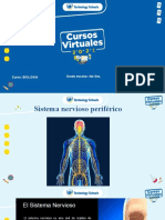 Sistema Nervioso Periferico 4to