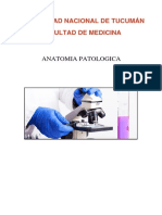 Anonimo de Anatomia Patologica