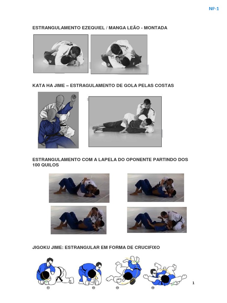 tecnicas-pdf-luta-livre-profissional-grappling