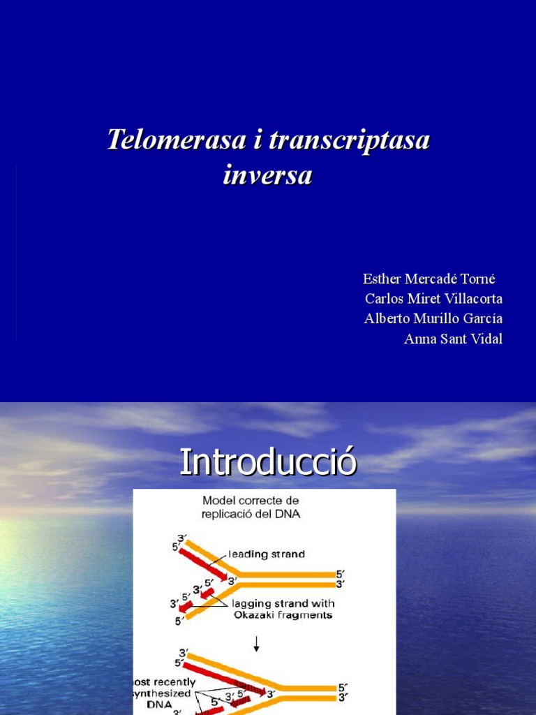 Telomerasa I Transcriptasa Inversa Veterinaria | PDF