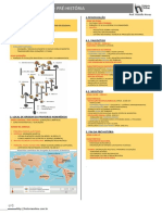 Resumo PRÉ HISTÓRIA 