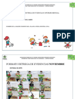 Formato de Entrega de Evidencias e Informe Noviembre 2022