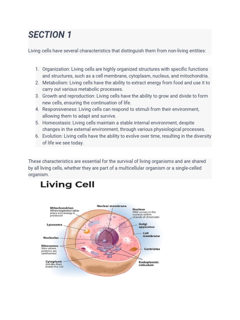 Cell Biology | PDF | Cell (Biology) | Endoplasmic Reticulum