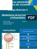 Metabolismo de Los Fosfolípidos y Esfingolípidos