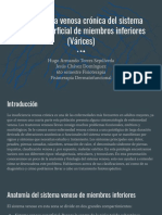 Insuficiencia Venosa Crónica Del Sistema Venoso Superficial de Miembros Inferiores (Várices)