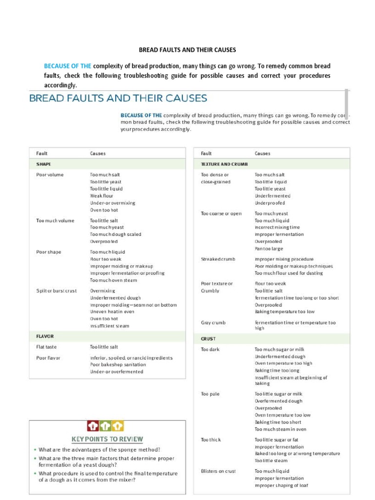 Bread Faults: Causes and Solutions | PDF | Breads | Baking
