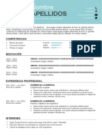 Curriculum Vitae Actual