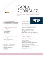 Curriculum para Atencion Al Cliente