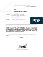 Carta de Paternidad