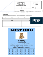 Reading Activity - A Lost Dog