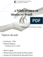 Aula Política Pública Palestra Pedro PDF