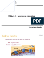 Aula 2- Membrana Plasmática