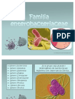 Bacterias Entericas