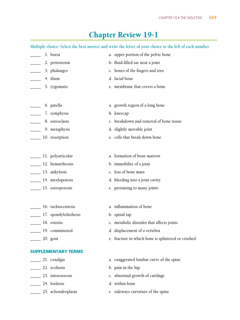 Skeleton Terminology and Review Quiz | PDF | Bone | Skeleton
