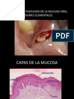 Tema 3 Estructura y Fisiología de La Mucosa Oral